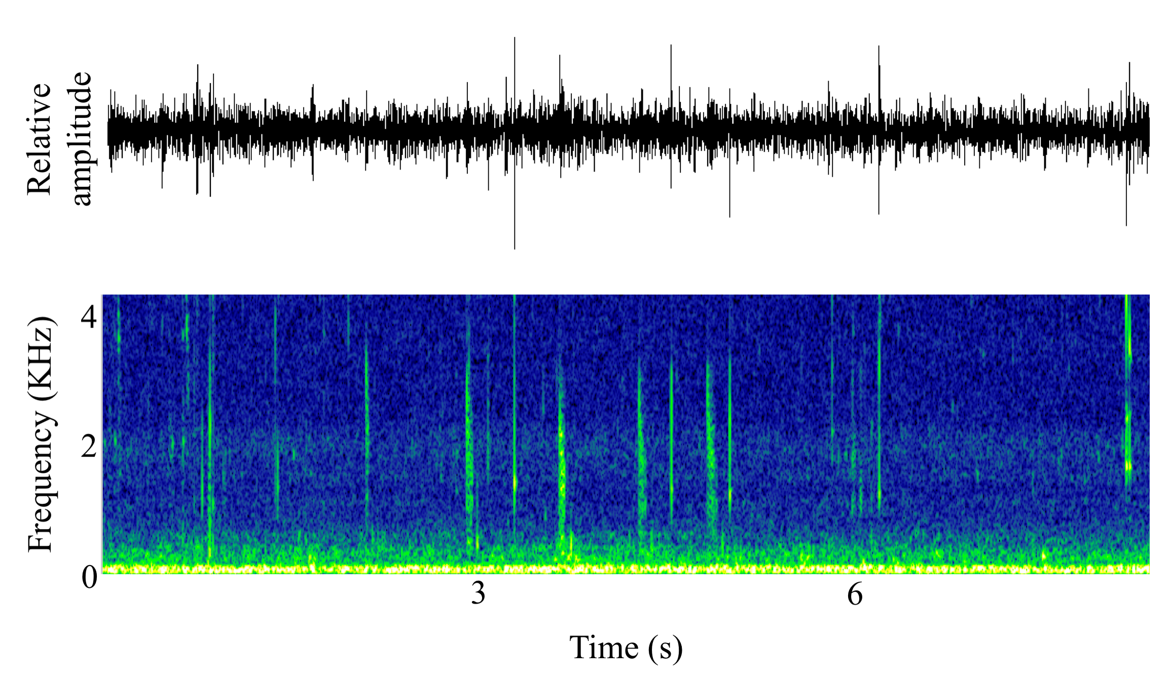spectrogram of <i>Alosa pseudoharengus</i> (Alewife) making the sound Snitch