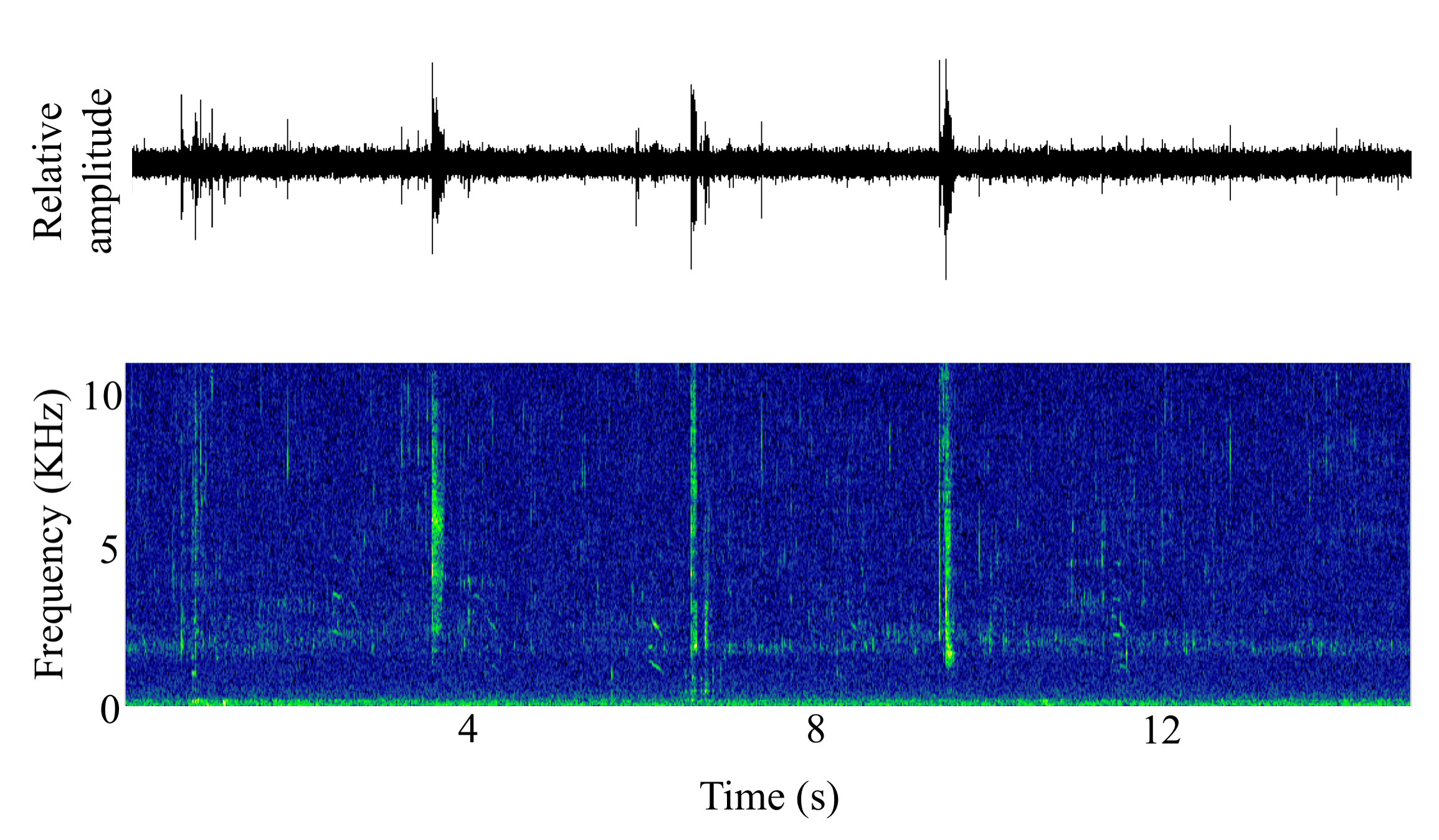 spectrogram of <i>Catostomus commersonii</i> (White sucker) making the sound Snort