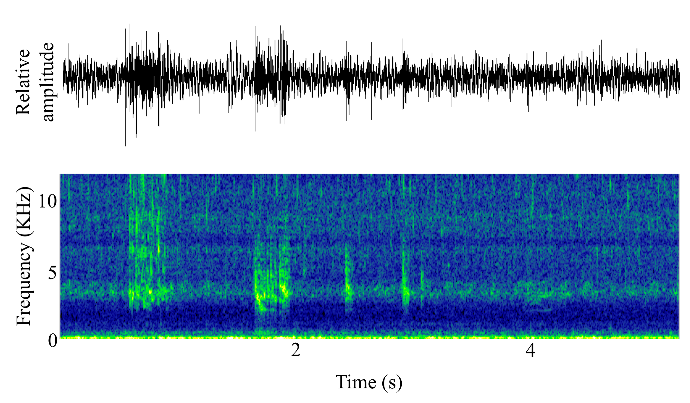 spectrogram of <i>Oncorhynchus mykiss</i> (Rainbow trout) making the sound Gurgle