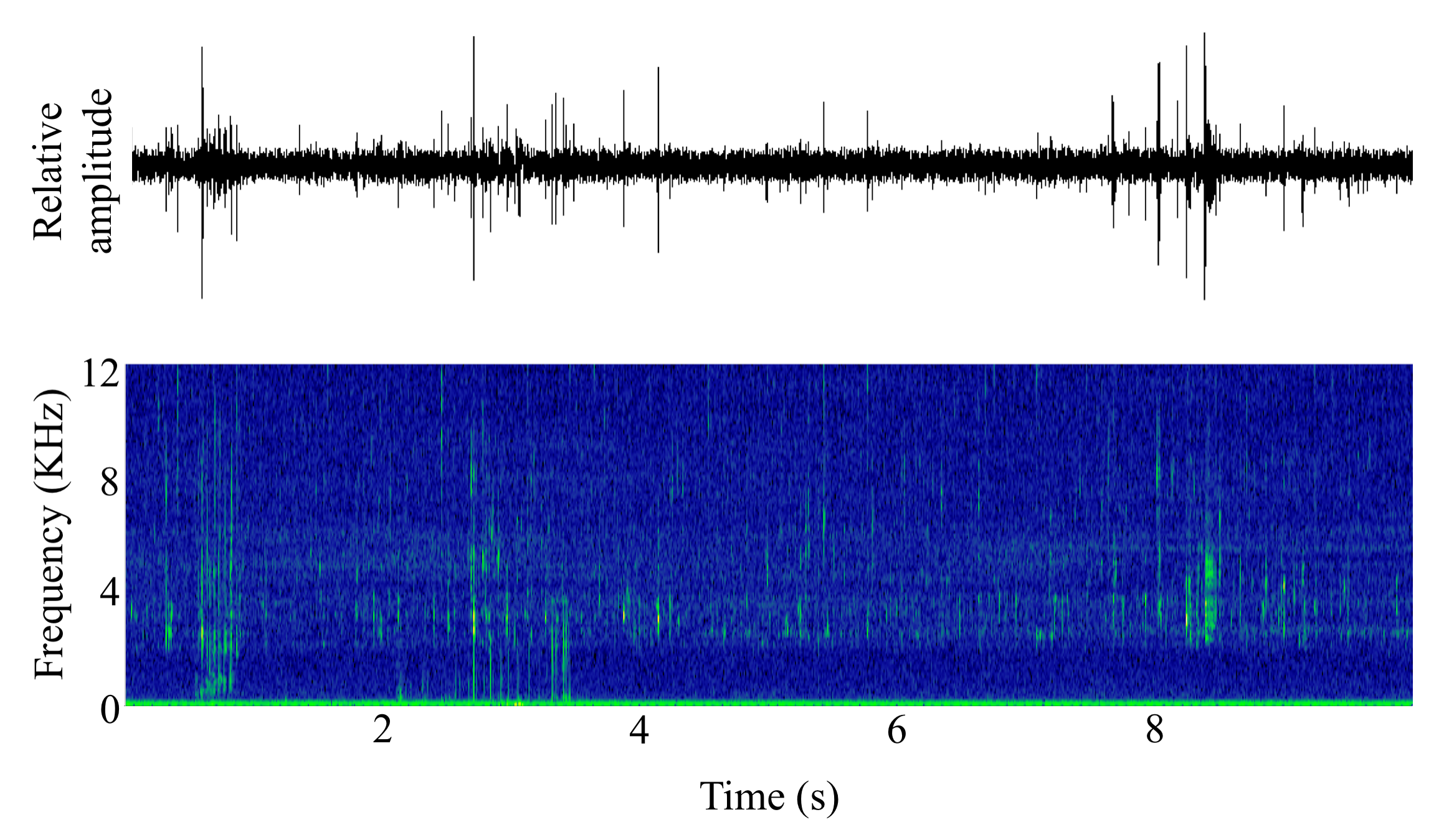 spectrogram of <i>Salmo trutta</i> (Sea trout) making the sound Bubble FRT