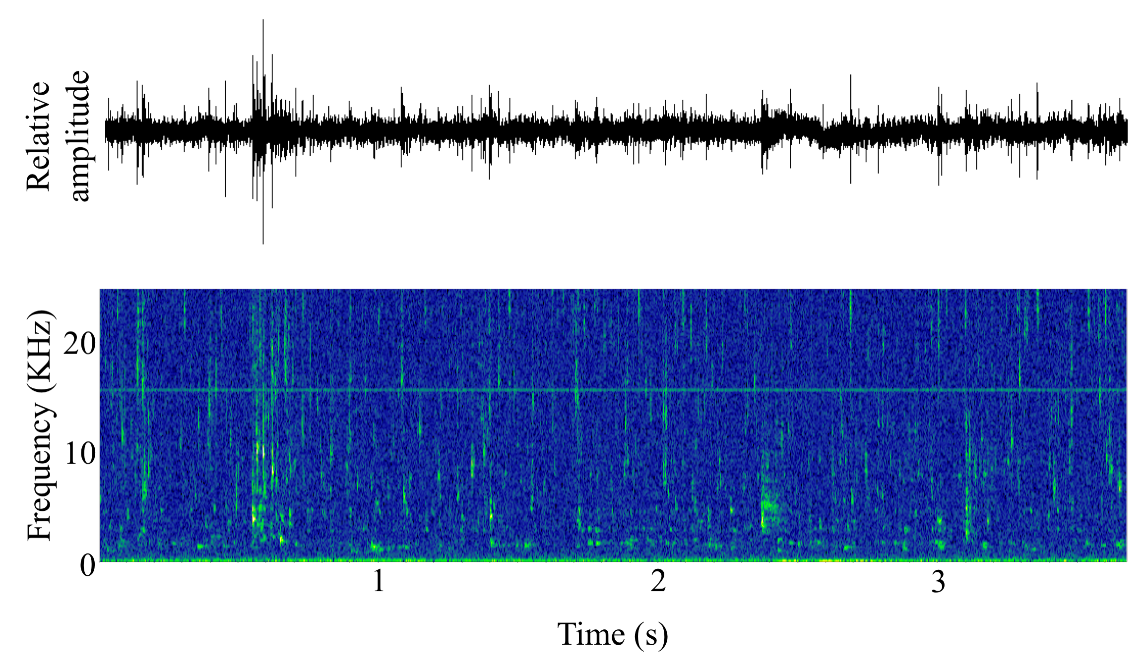 spectrogram of <i>Salvelinus fontinalis</i> (Brook trout) making the sound Snitch