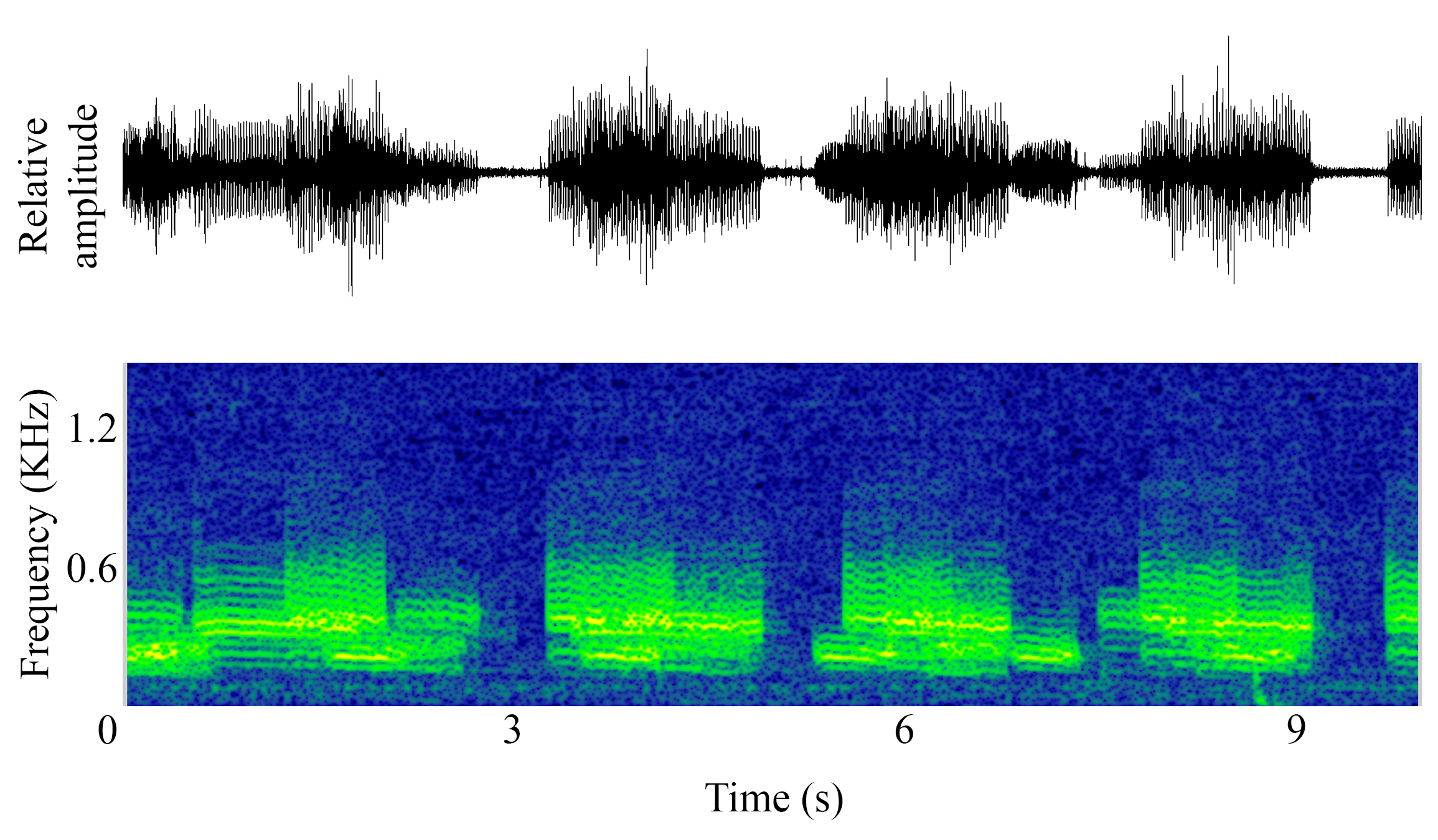 spectrogram of <i>Aplodinotus grunniens</i> (Freshwater drum) making the sound Chorus