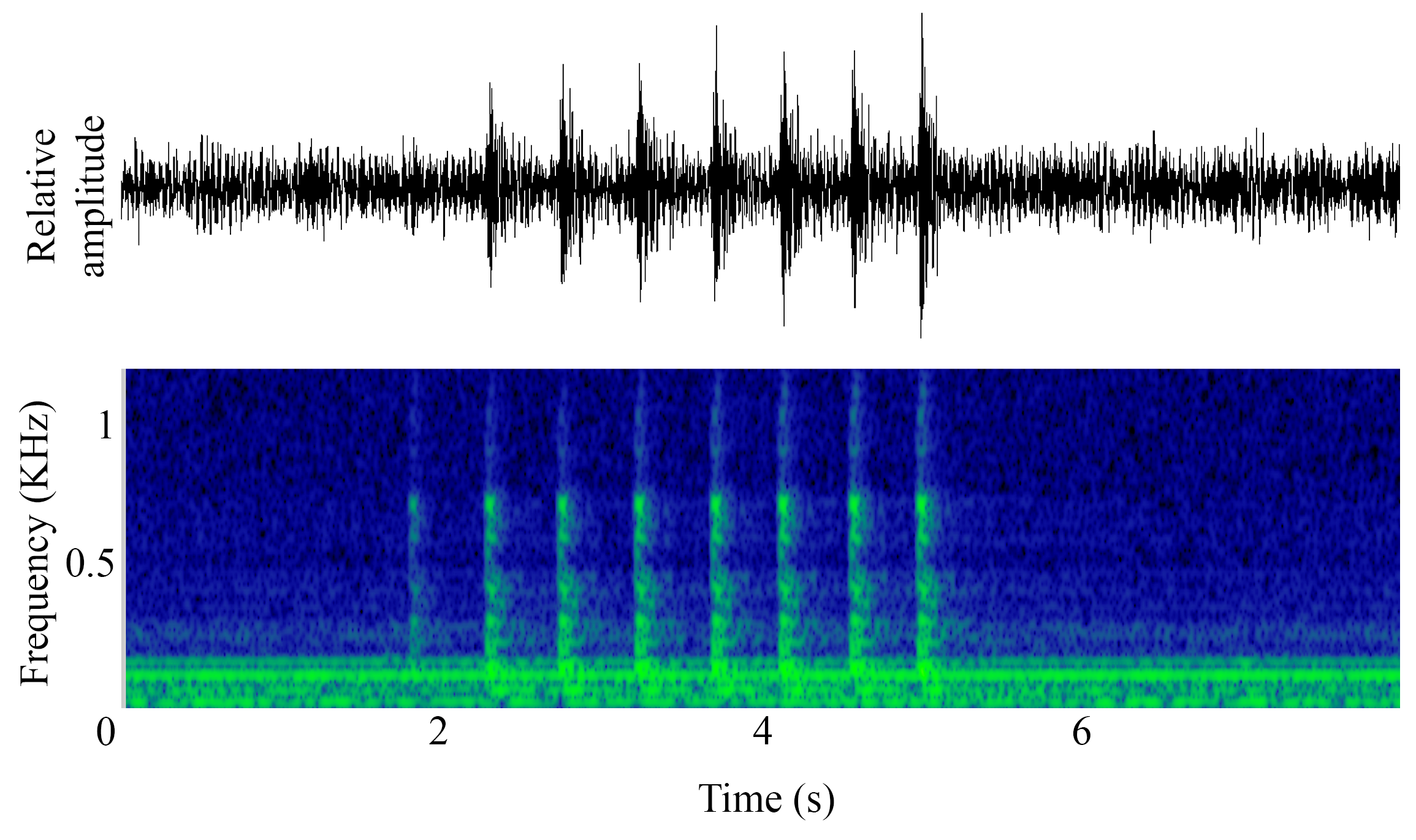 spectrogram of <i>Lutjanus griseus</i> (Grey snapper) making the sound Larvae Knock