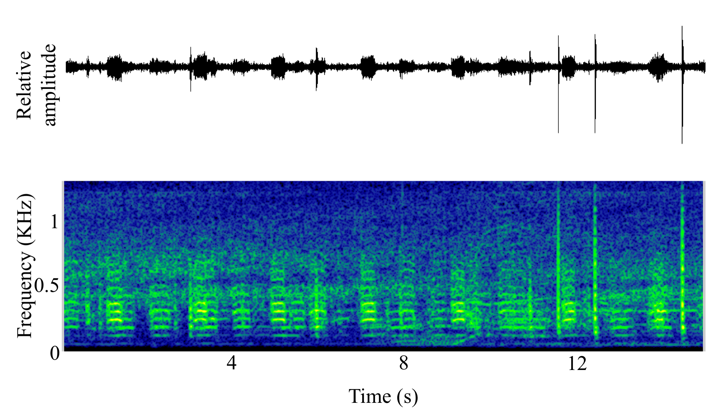 spectrogram of <i>Argyrosomus japonicus</i> (Japanese meagre) making the sound Unnamed