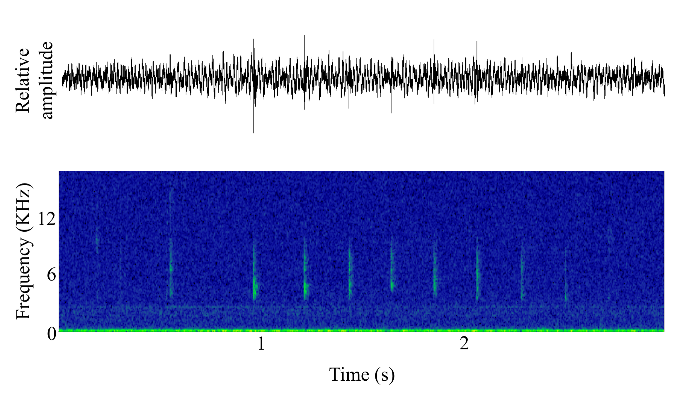 spectrogram of <i>Anoplopoma fimbria</i> (Sablefish) making the sound Tick