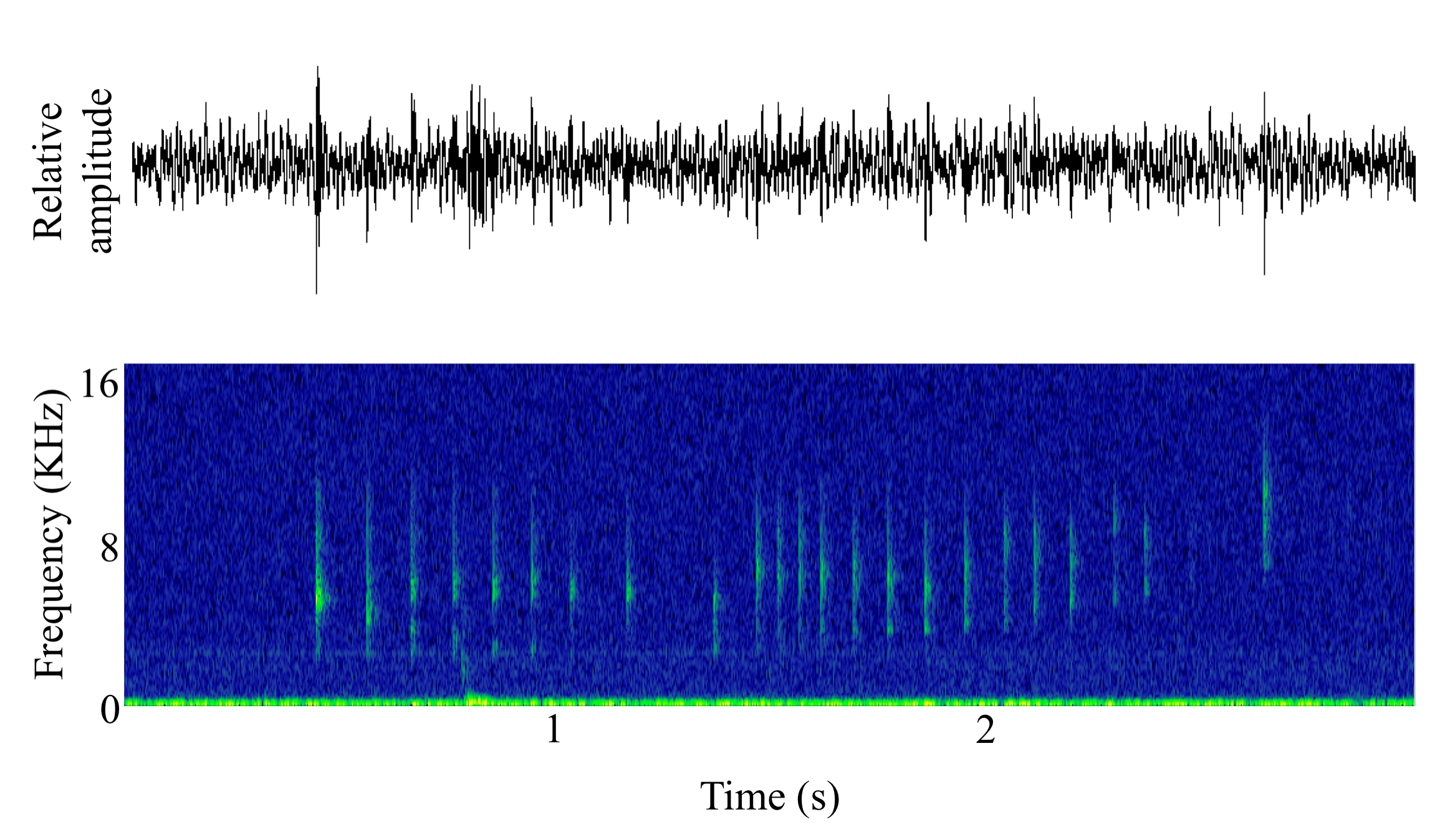 spectrogram of <i>Anoplopoma fimbria</i> (Sablefish) making the sound Tick