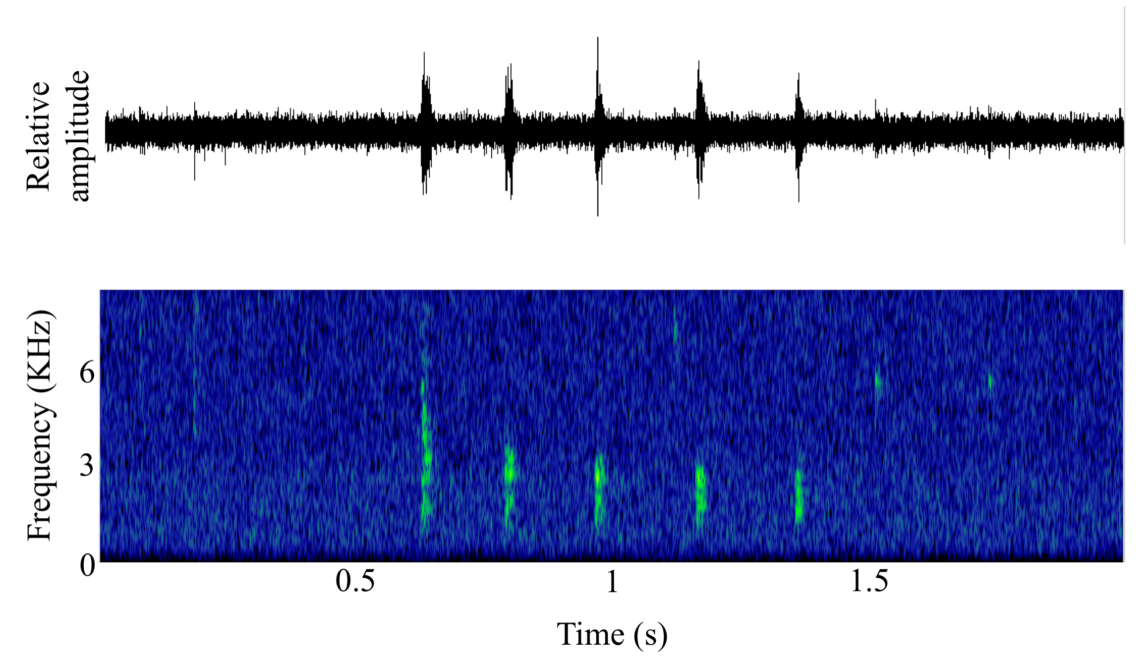 spectrogram of <i>Anoplopoma fimbria</i> (Sablefish) making the sound Tick
