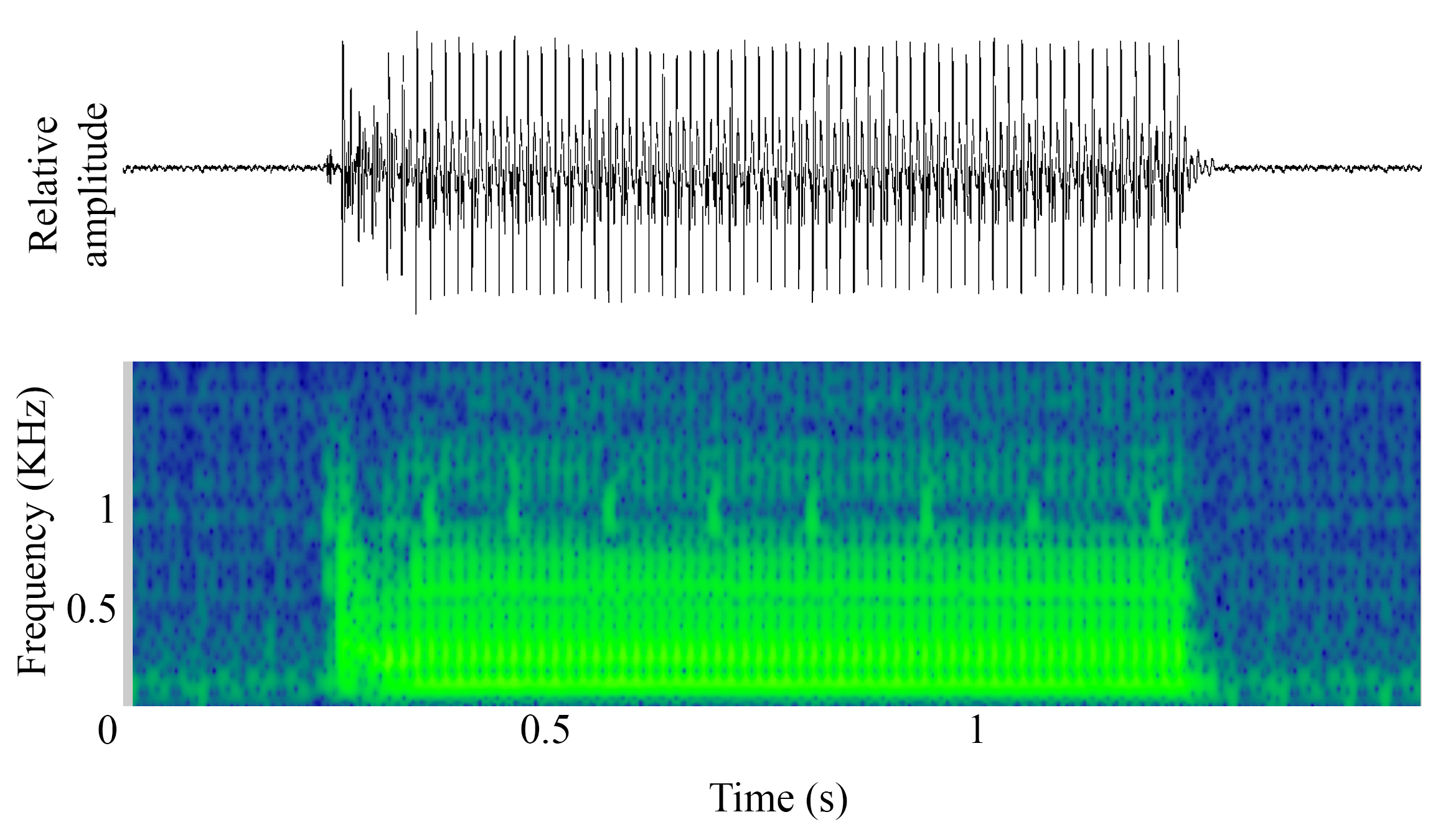 spectrogram of <i>Argyrosomus regius</i> (Meagre) making the sound Grunt
