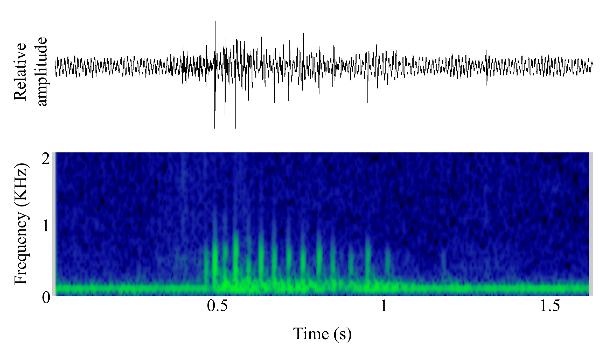 spectrogram of <i>Pseudotropheus</i> sp. (Unknown) making the sound Growl