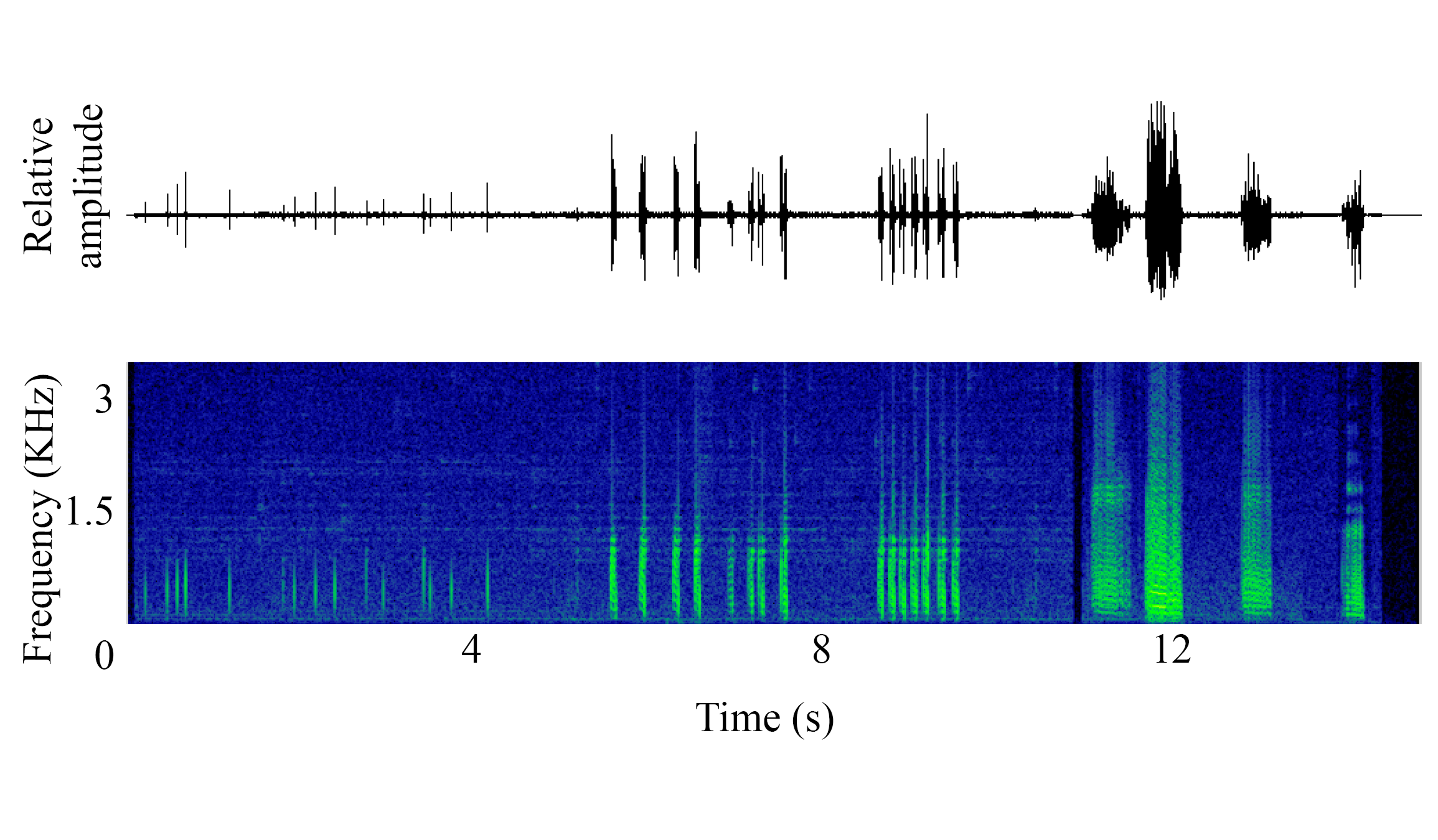 spectrogram of <i>Eutrigla gurnardus</i> (Grey gurnard) making the sound Grunt