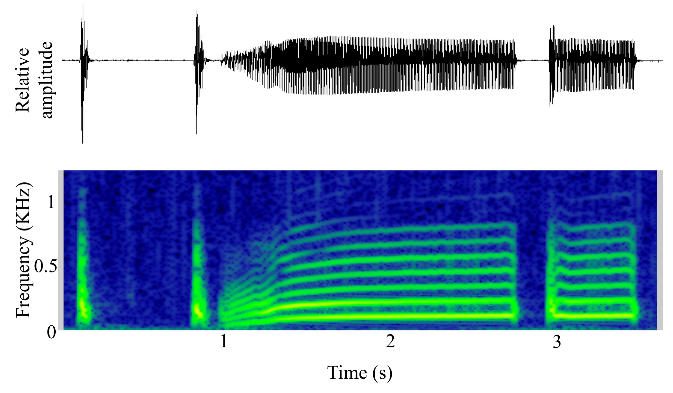 spectrogram of <i>Amphichthys cryptocentrus</i> (Bocon toadfish) making the sound Boop