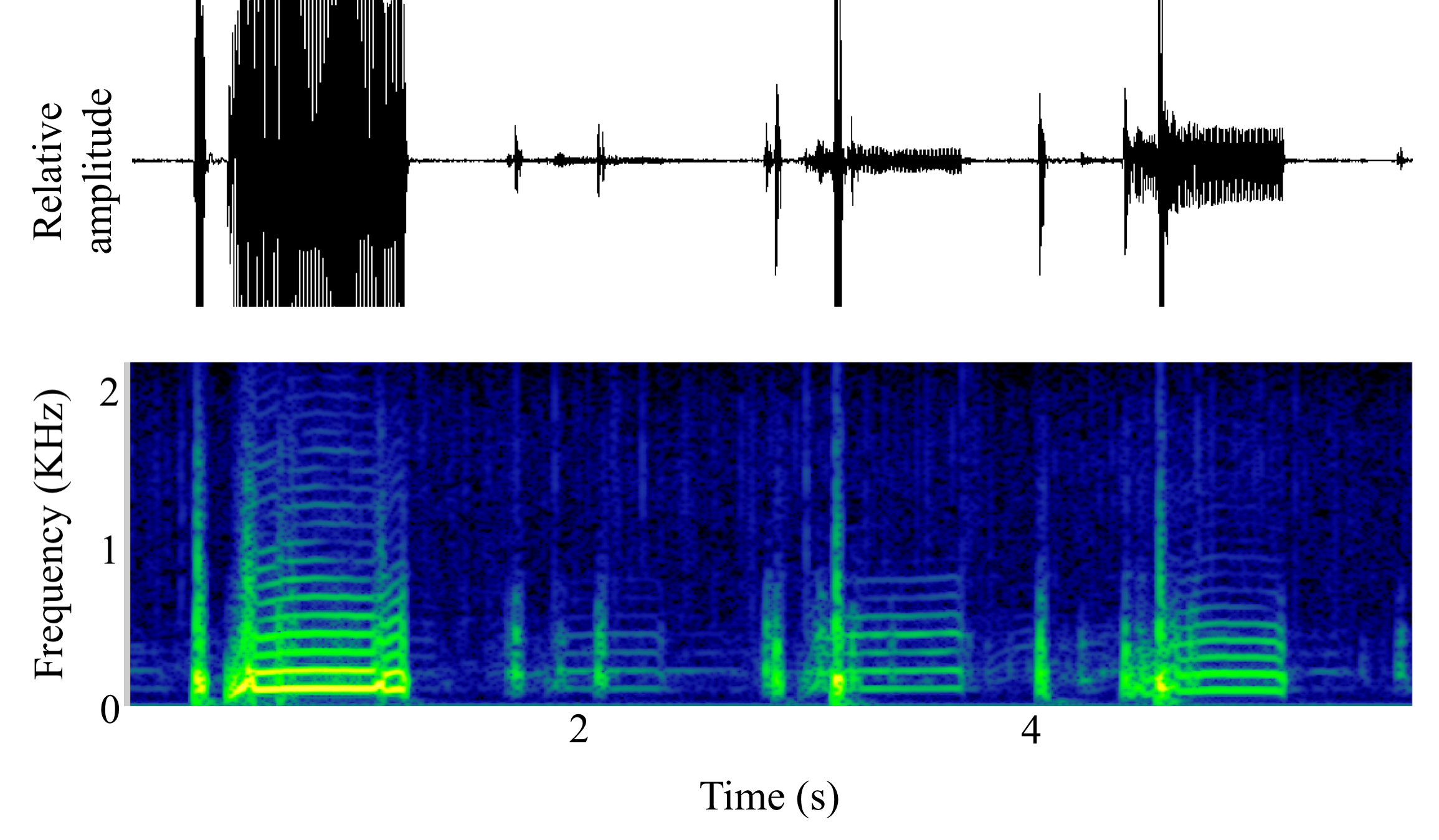 spectrogram of <i>Amphichthys cryptocentrus</i> (Bocon toadfish) making the sound Boop