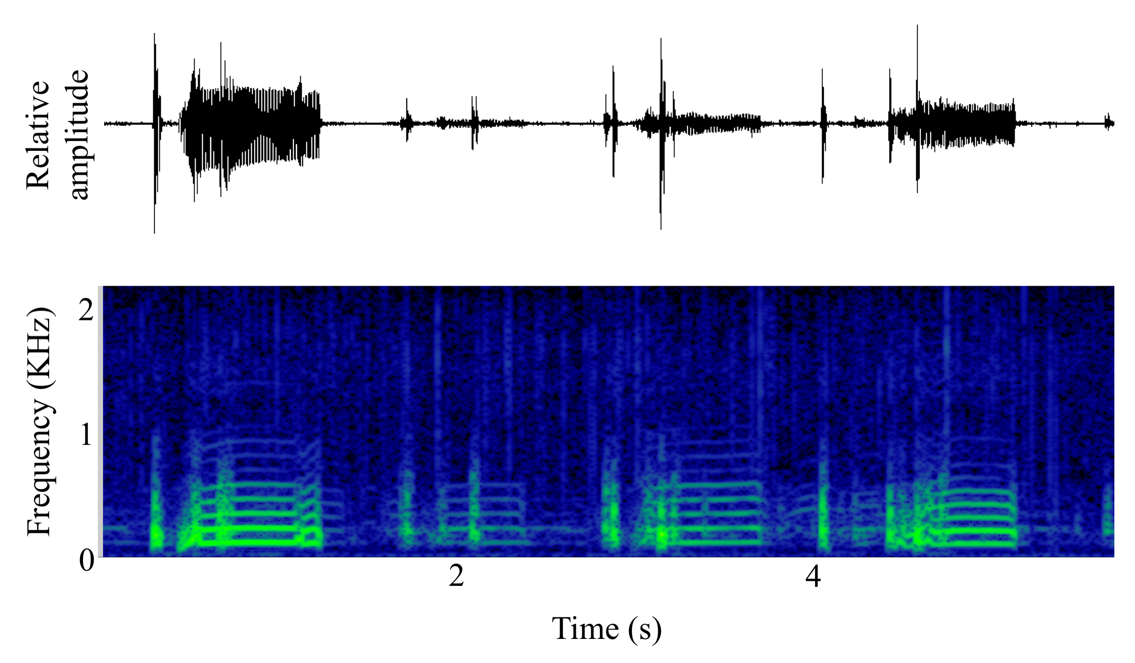 spectrogram of <i>Amphichthys cryptocentrus</i> (Bocon toadfish) making the sound Boop