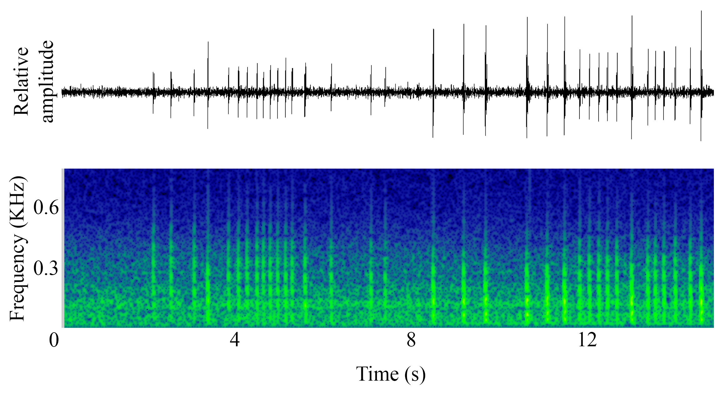 spectrogram of <i>Melanogrammus aeglefinus</i> (Haddock) making the sound Knock