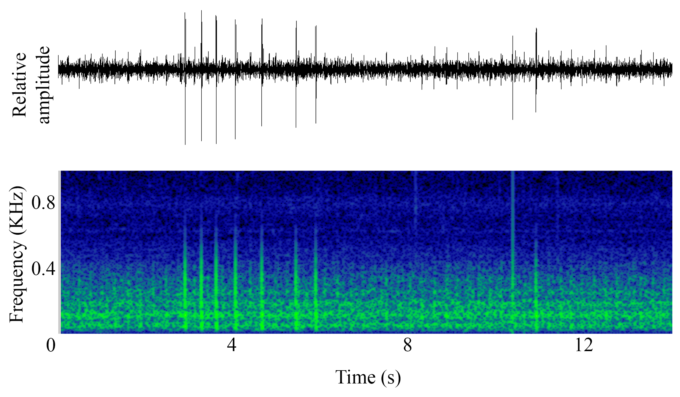 spectrogram of <i>Melanogrammus aeglefinus</i> (Haddock) making the sound Rumble
